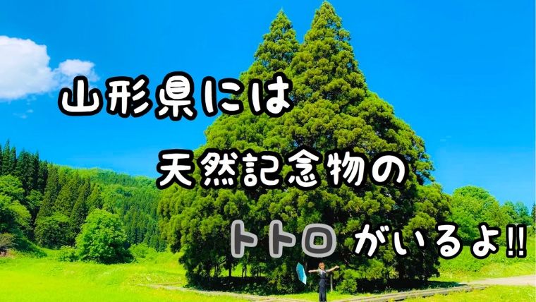 山形県 日本一周れいとら日記 山形県には天然記念物のトトロがいるよ その他にも観光地５つ行ってきました 令和とらべら ず